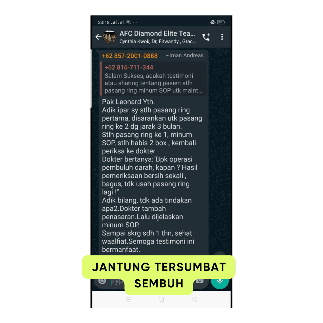 Jantung Tersumbat