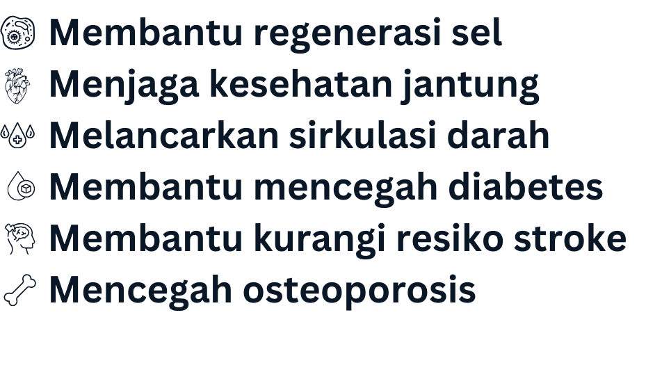 Manfaat SOP Subarashi