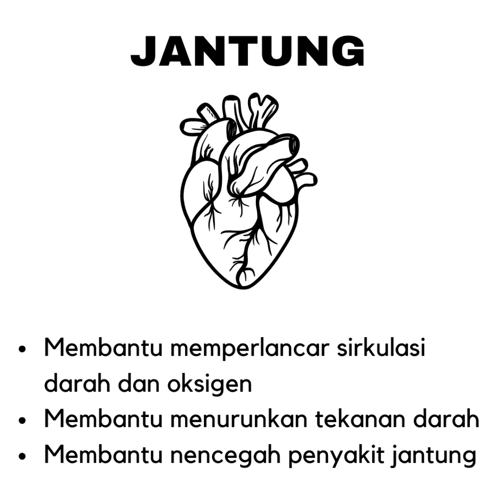 Manfaat Subarashi Pembuluh Jantung