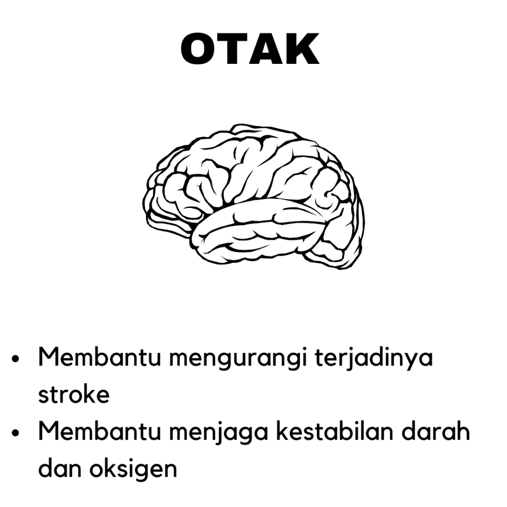 Manfaat Subarashi Pembuluh Otak