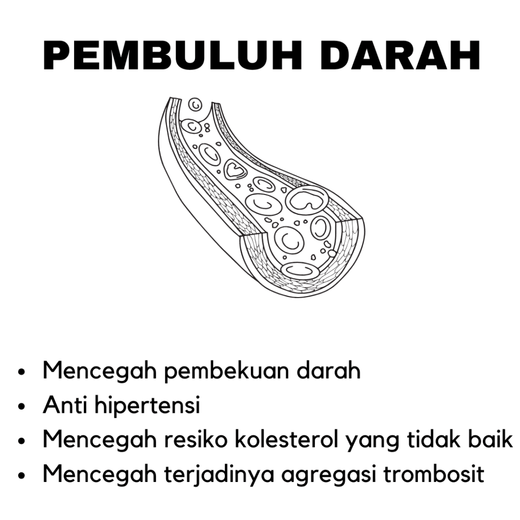 Manfaat Subarashi Pembuluh Darah