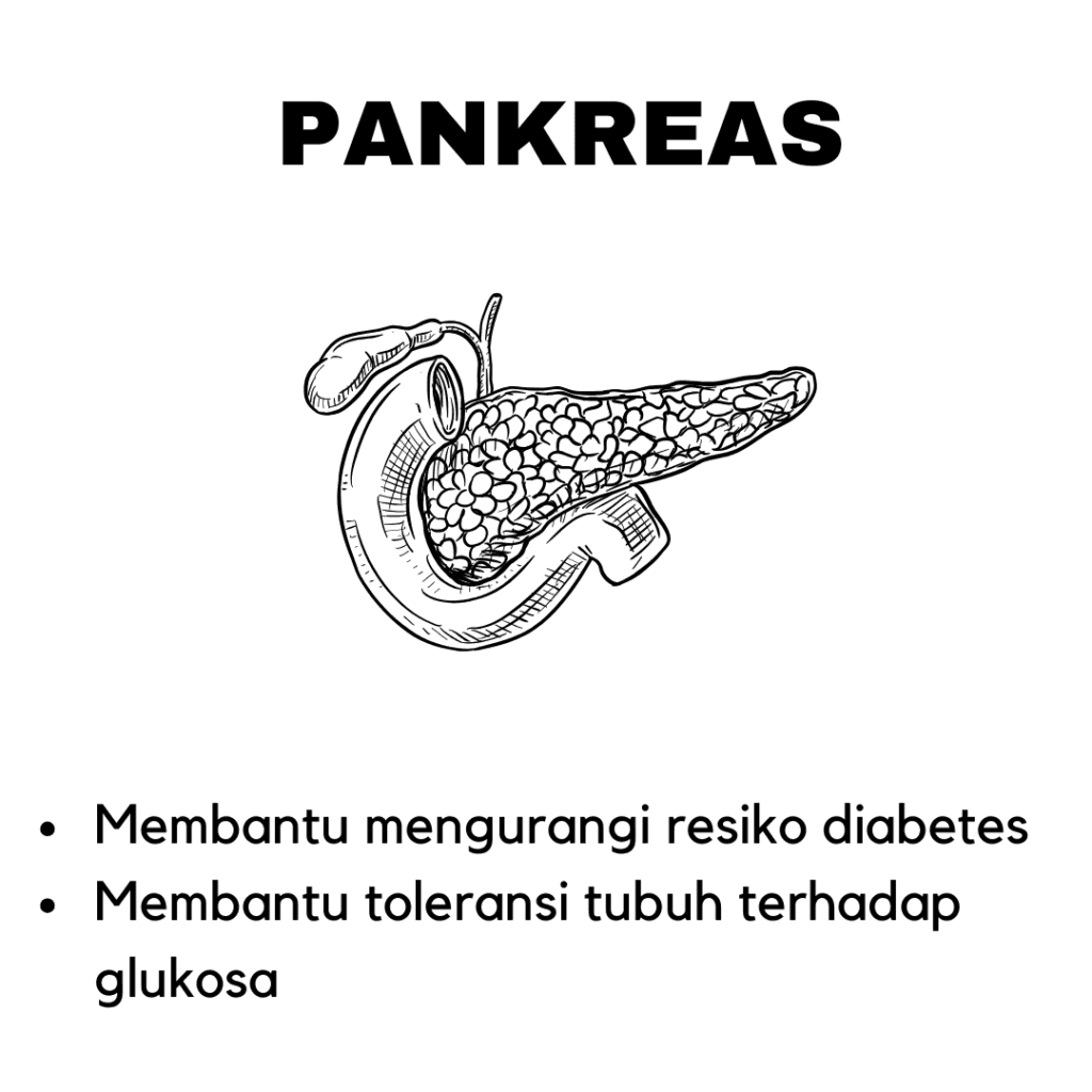 Manfaat Subarashi Pankreas