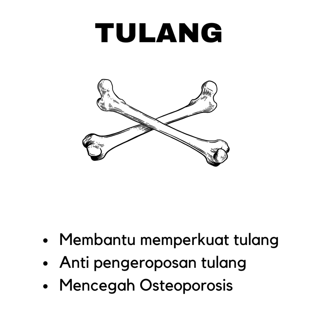 Manfaat Subarashi Tulang