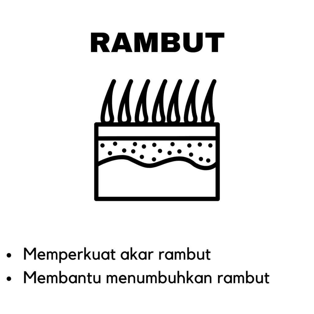 Manfaat Subarashi Rambut